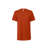 Tee-shirt unisexe Triblend personnalisé