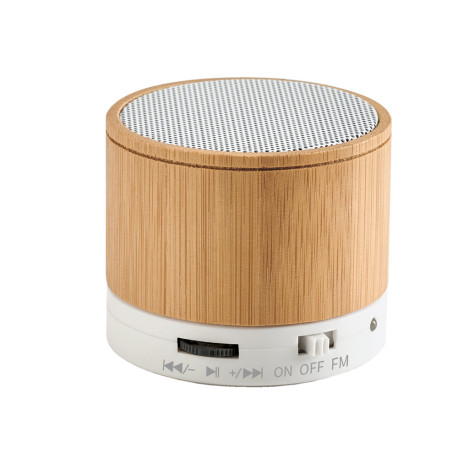 GLASHOW. Enceinte portable avec microphone personnalisé