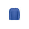 THC DELTA KIDS. Sweat-shirt pour enfants en coton et polyester recyclés personnalisé
