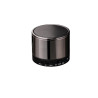 SYNTH. Enceinte portable avec microphone vierge ou à personnalise