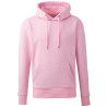 Sweat à capuche Anthem pour homme personnalisé