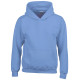 Sweat-shirt à capuche enfant Heavy Blend™ personnalisé