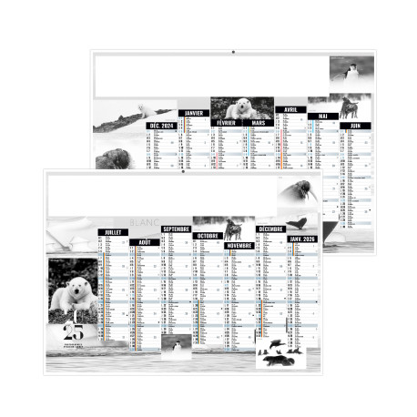 BANCAIRE STANDARD BLANC 2025 - 210X155