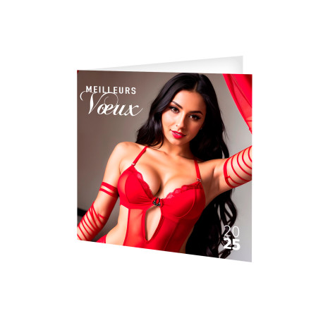 CARTE DE VOEUX COULEURS DESSOUS CHICS 2025 - 280X140