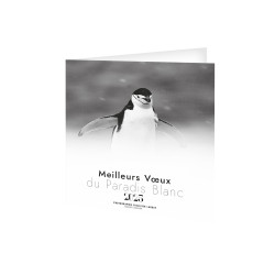 CARTE DE VOEUX PARADIS BLANC 2025 personnalisé