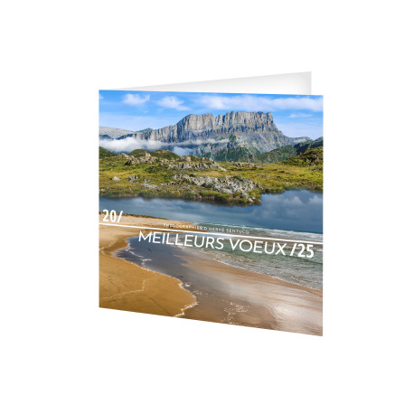 CARTE DE VOEUX ENVERGURE 2025 - 280X140