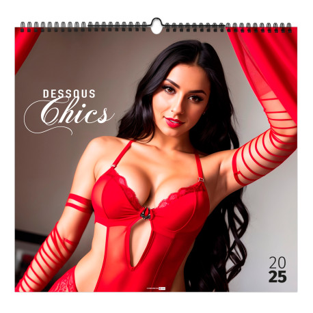 ILLUSTRÉ DESSOUS CHICS 2025 - 480X450