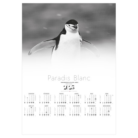 POSTER PARADIS BLANC 2025 - 500X700