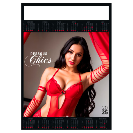 POSTER DESSOUS CHICS 2025 - 500X700