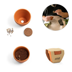 ANETHUM. Pot en terre cuite avec graines d'aneth vierge ou à personnaliser