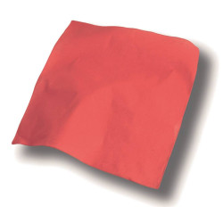 Bandana vierge ou à personnaliser