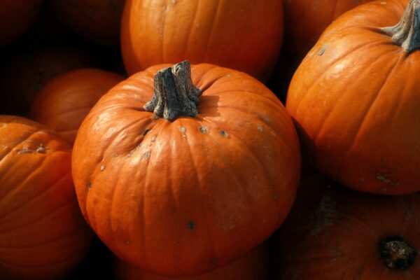 Objets personnalisés : Rendez votre Halloween unique !