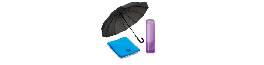Goodies Hiver