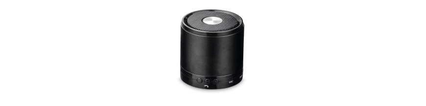 Enceinte personnalisée