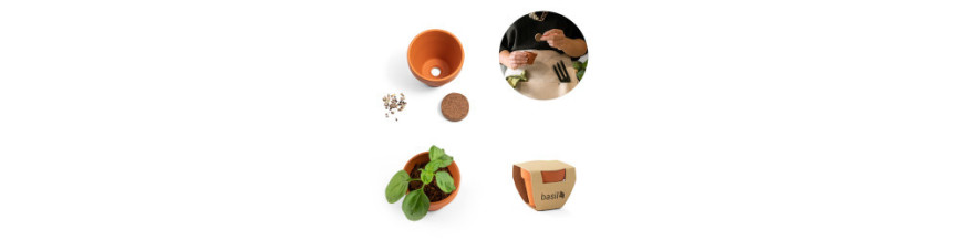 Graines, pot et outils de jardin personnalisé